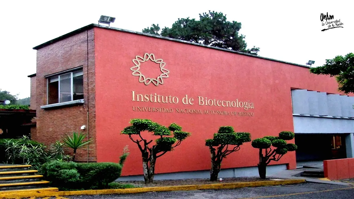 Biotecnologia UNAM IBT